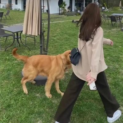 明天，我会成为谁的女友